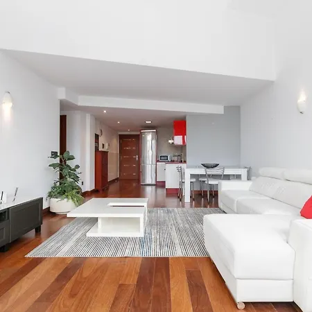 Apartamento Centro Areal 16 Con Garaje